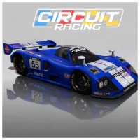 Circuit Racing
