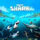 Crazy Shark is an underwater survival arcade game where players take on the role of a shark and are caught in a constant hunt for survival.
