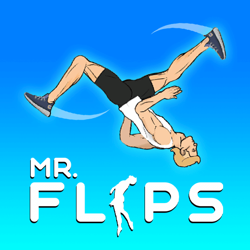 Play game Mr Flip